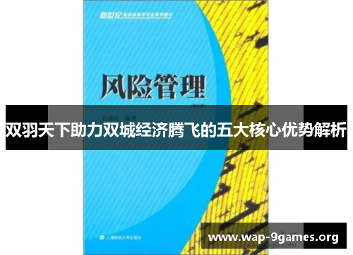 双羽天下助力双城经济腾飞的五大核心优势解析 双羽天下助力双城经济腾飞的五大核心优势解析