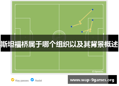 斯坦福桥属于哪个组织以及其背景概述 斯坦福桥属于哪个组织以及其背景概述